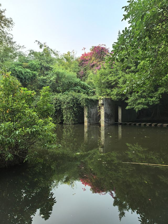 藏在深圳市中心的秘密角落,太美啦! 藏在深圳市中心的秘密角落,太美啦!