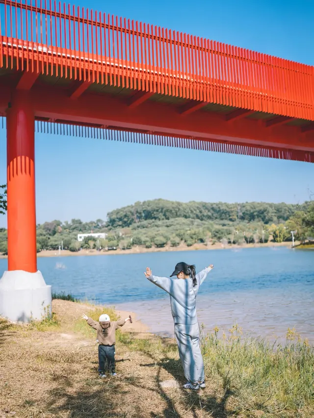 就在深圳超愛的免費寶藏遛娃地，超chill