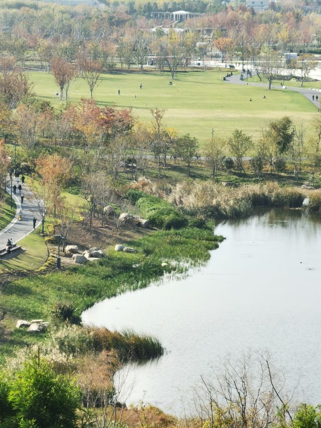 魔都秋色打卡 魔都秋色打卡