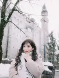 新天鵝堡夢幻冰雪城堡