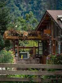 帶狗子去川西「小瑞士」阿布的若丁山|誰說川西只有稻城