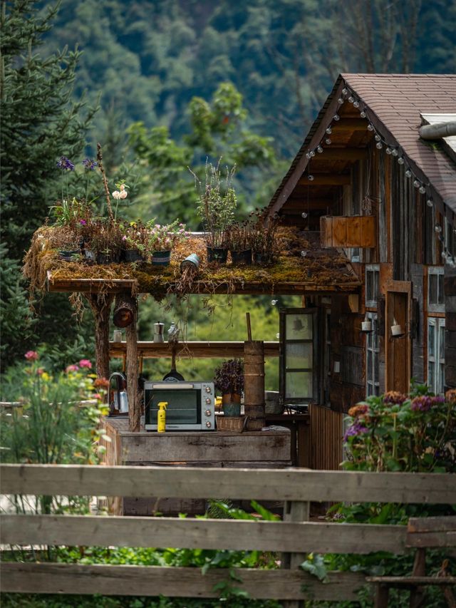 帶狗子去川西「小瑞士」阿布的若丁山|誰說川西只有稻城