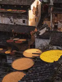 不累人版江西5天4晚,收藏好了!