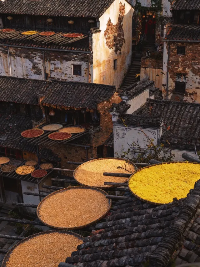 不累人版江西5天4晚,收藏好了! 不累人版江西5天4晚,收藏好了!