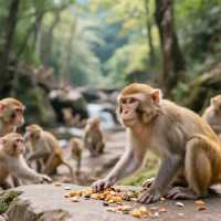 就像一位藏在深閨的絕色佳人，一顰一笑都讓人沉醉