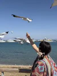 大西北你真的有點厲害!青海湖隨手拍都美!