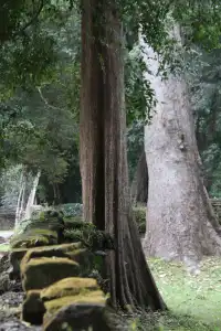 慢行吳哥 深入柬埔寨