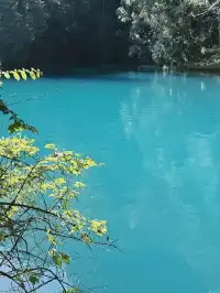 11月底荔波小七孔 | 上帝打翻的藍綠調色盤