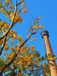 上海12月:冬名義,秋肌理,節日序章已啟