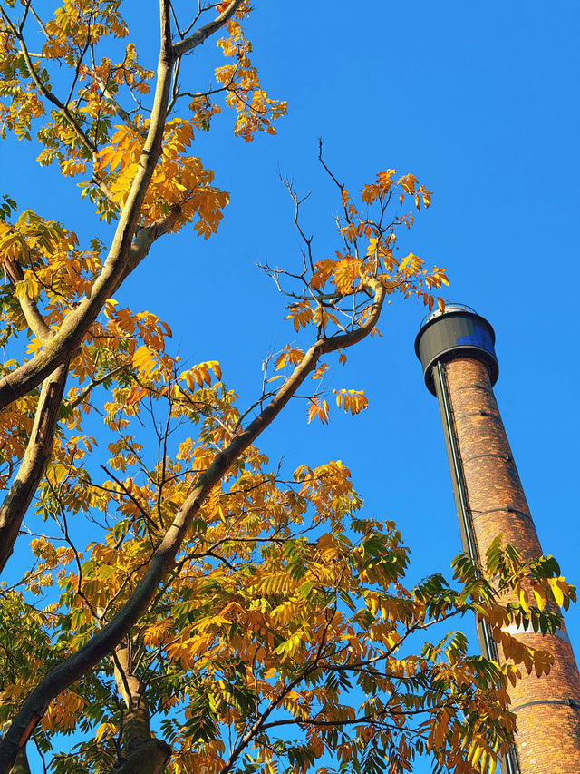 上海12月:冬名義,秋肌理,節日序章已啟 上海12月:冬名義,秋肌理,節日序章已啟