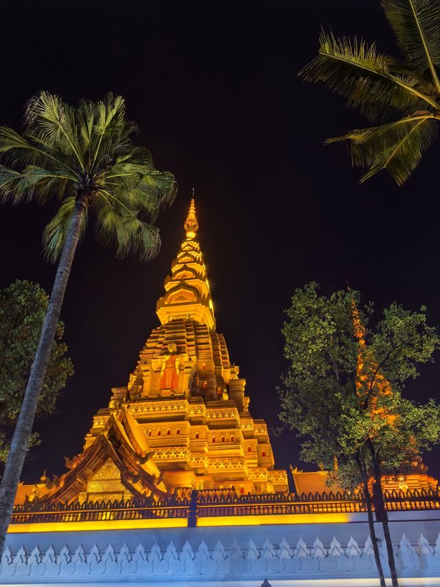 從景邁到西雙版納的姊妹遊 從景邁到西雙版納的姊妹遊