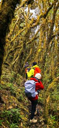 徒步在真正的天然氧吧之中~