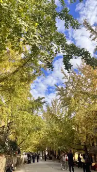 南雄帽子峰不看後悔,11.30無濾鏡!別跑空