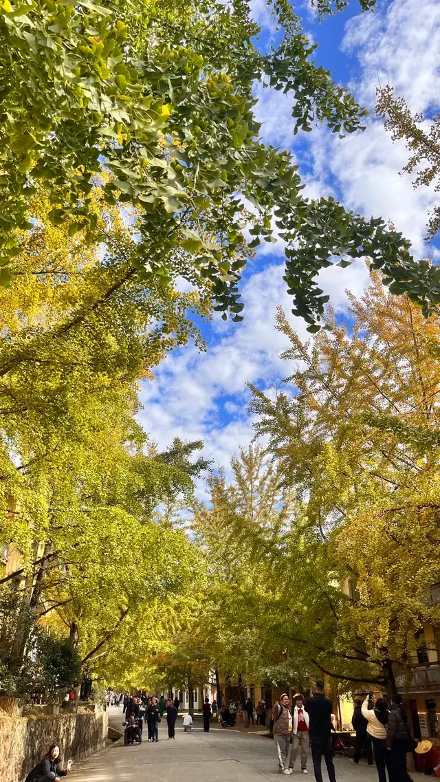 南雄帽子峰不看後悔,11.30無濾鏡!別跑空 南雄帽子峰不看後悔,11.30無濾鏡!別跑空