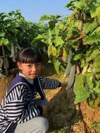 佛山農科院|限時免費開放最全攻略來啦