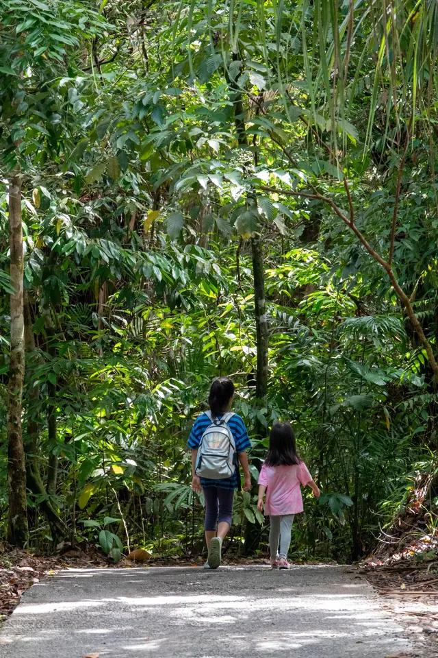 古晉十日：從山都望雨林到砂拉越河岸