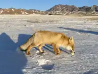 賽里木湖|瞬間懂了大西洋最後一滴眼淚