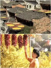 國家地理誠不我欺!婺源篁嶺曬秋絕了