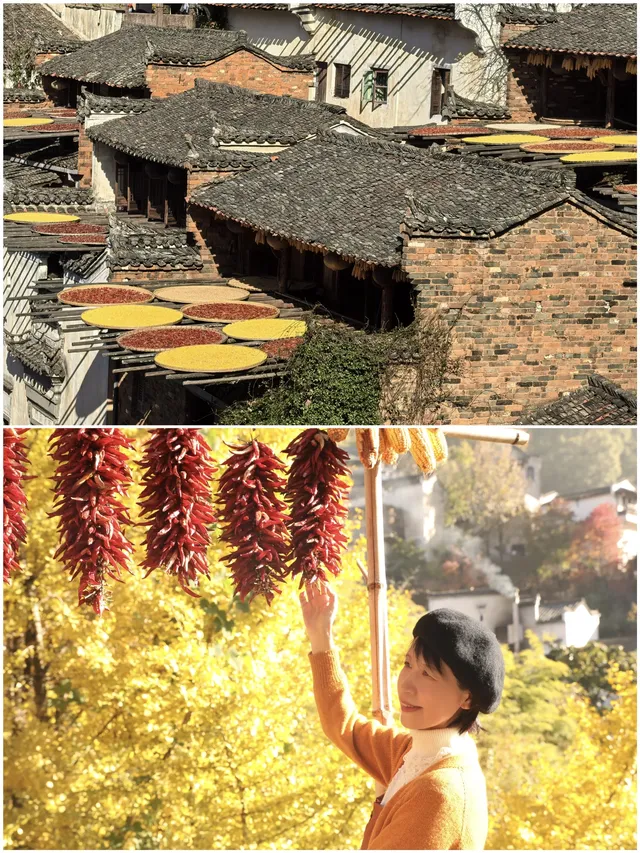 國家地理誠不我欺!婺源篁嶺曬秋絕了 國家地理誠不我欺!婺源篁嶺曬秋絕了