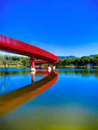 為什麼深圳人總在朋友圈曬這座虹橋？