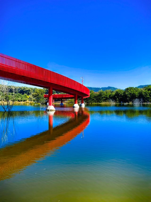 為什麼深圳人總在朋友圈曬這座虹橋？