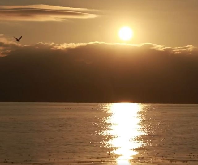 大理洱海邊日出太治癒了 大理洱海邊日出太治癒了