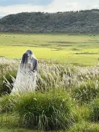 火山口在轟隆,腳下卻是抹茶草原|阿蘇火山