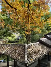 打翻調色盤,最後一次這個視角做寄暢園封面