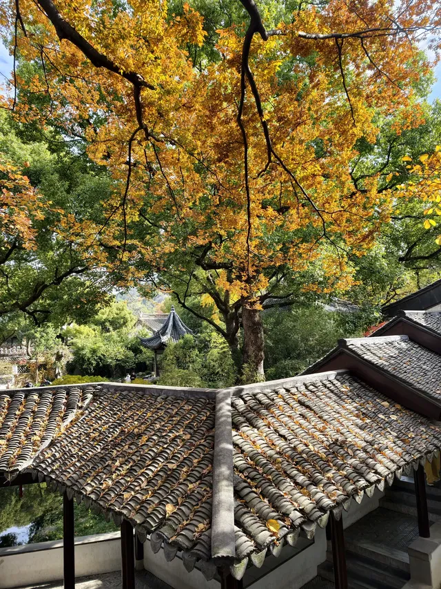 打翻調色盤,最後一次這個視角做寄暢園封面 打翻調色盤,最後一次這個視角做寄暢園封面