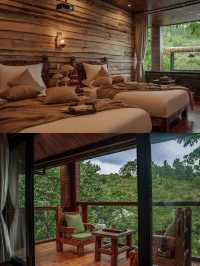 住進森林樹屋吸氧躺平治癒所有疲憊