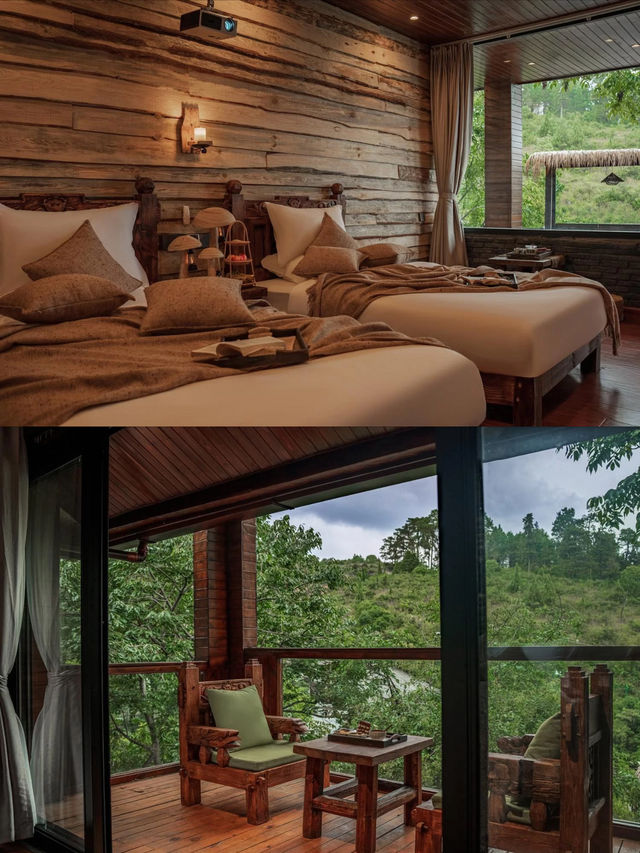 住進森林樹屋吸氧躺平治癒所有疲憊