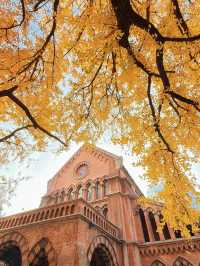 深秋限定！上海聖三一教堂銀杏與穹頂的絕美邂逅