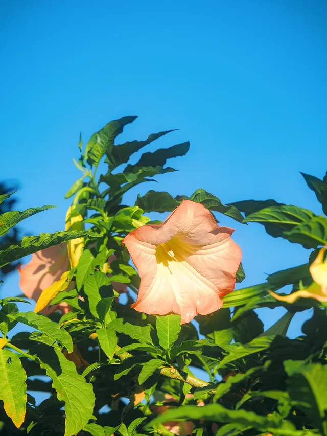 浪漫是大理的常態🩵 浪漫是大理的常態🩵