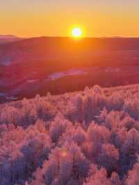 沒踩雷🫡第一次去阿爾山 直接照抄這份攻略