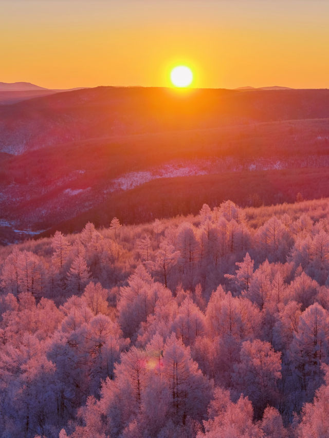 沒踩雷🫡第一次去阿爾山 直接照抄這份攻略 沒踩雷🫡第一次去阿爾山 直接照抄這份攻略