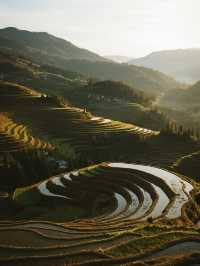 雲和梯田親子冬遊|免排隊看霧淞日出攻略