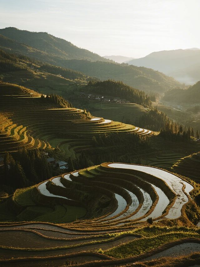 雲和梯田親子冬遊|免排隊看霧淞日出攻略 雲和梯田親子冬遊|免排隊看霧淞日出攻略