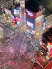 站在東京之上:SHIBUYA SKY × 新宿夜色