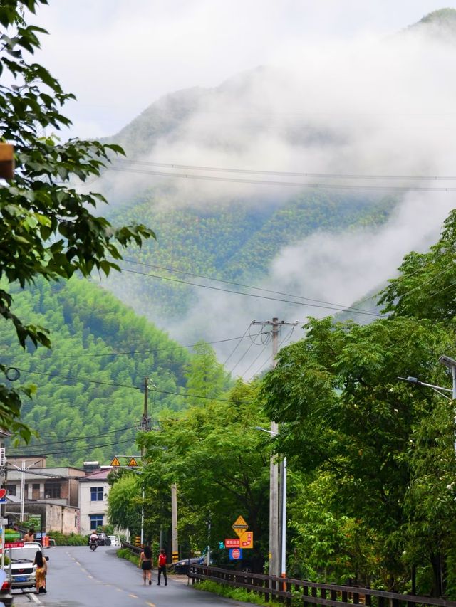浙北大峽谷遊玩全攻略|懸崖秋千+玻璃吊橋嗨翻天 浙北大峽谷遊玩全攻略|懸崖秋千+玻璃吊橋嗨翻天