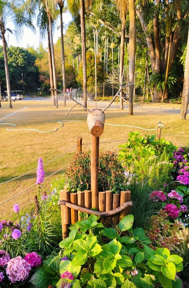 深圳仙湖植物園|遛娃寶藏地打卡賞花絕佳去處 深圳仙湖植物園|遛娃寶藏地打卡賞花絕佳去處
