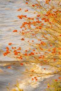 滇池日落封神!橘子海把浪漫焊在昆明黃昏裡