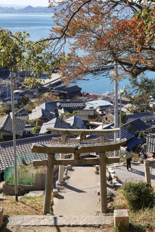 Такамацу | Из Мегидзимы в Огидзиму: путеводитель по однодневной поездке в межсезонье