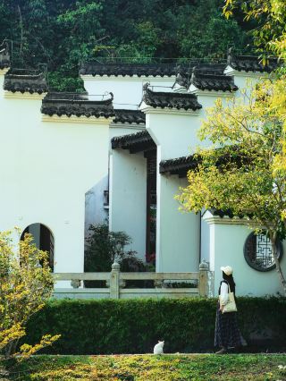 Shenzhen is known for its bougainvillea, but I fell in love with the Chinese aesthetics of the Garden Expo Park