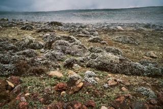 Lost in the Secret Lakes of Mount Asebier National Park
