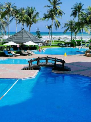 Complete Guide to Summer Vacation in Salalah, Oman: Coconut Groves, Pools + Stunning Sea Views at Your Fingertips