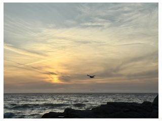 17-mile drive | why it’s worth taking your time