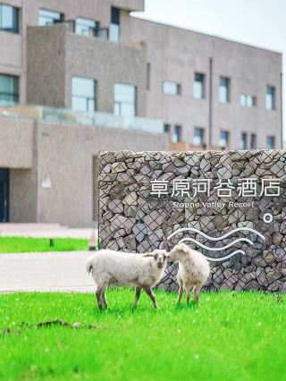 A steady 25℃! Sleep in a pastoral river valley like a painting and enjoy 3 days of “The Wizard of Oz”–style summer escape