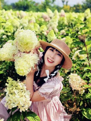 繡球花嘗鮮版