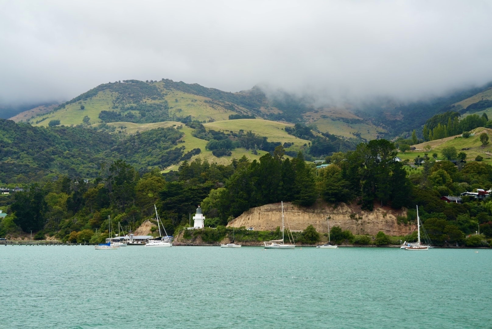 Sailing into the volcanic bay aboard the Black Cat! A chance encounter with the world's smallest Hector's dolphin, and the reef seals were so therapeutic.