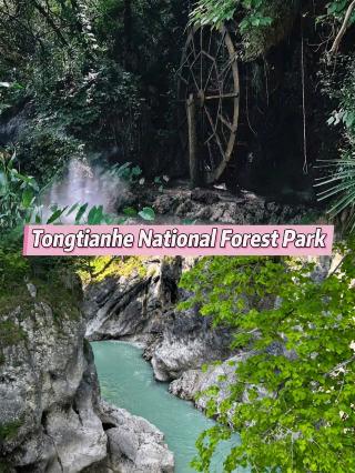 อุทยานแห่งชาติเฟิงเซียนถงเทียนเหอ: ป่าหินบนภูเขาอันเงียบสงบและงดงามลึกเข้าไปในเทือกเขาฉินหลิง เป็นสถานที่พักผ่อนในฤดูร้อนตามธรรมชาติและแหล่งเติมออกซิเจน